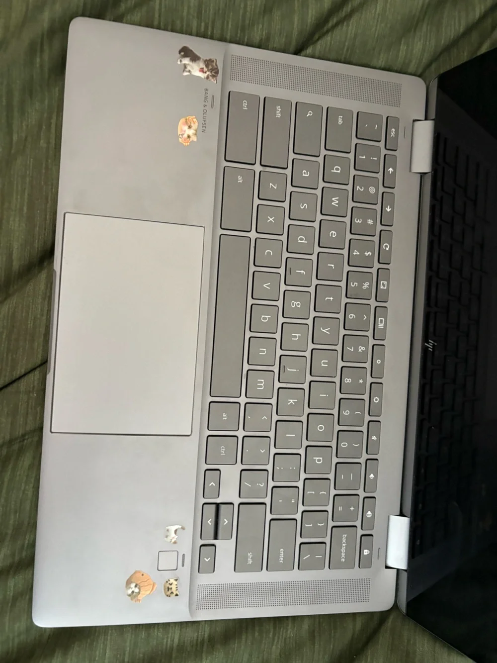 HP Silver-Gray Laptop with Minimal HP Logo